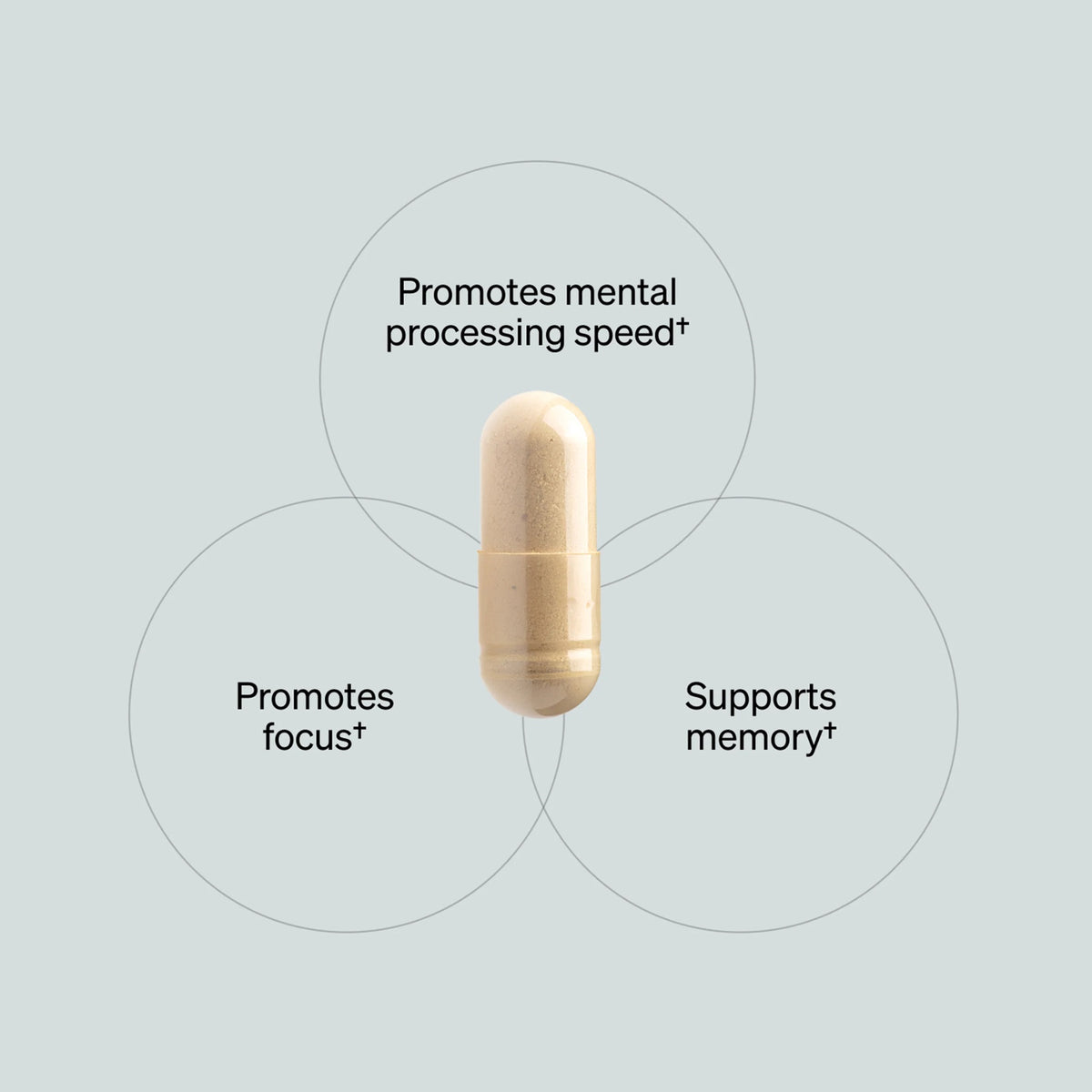 NOURVYRA Brain Support — 90 Capsules