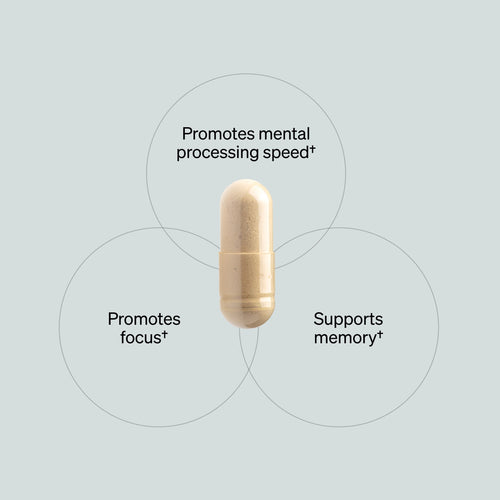 NOURVYRA Brain Support — 90 Capsules
